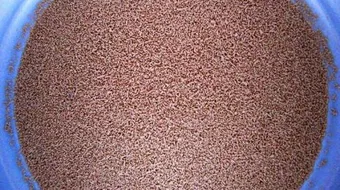 فوائد الخميرة الفورية للأطفال