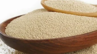 فوائد الخميرة الفورية للتخسيس