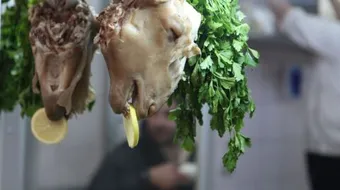 فوائد لحم الخروف