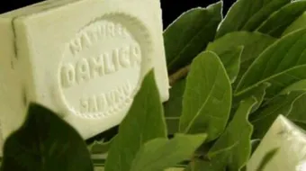 فوائد صابون الغار