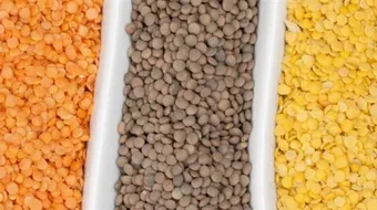 فوائد العدس للشعر