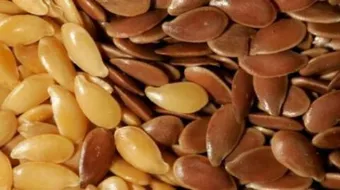 فوائد بذر الكتان مع الزبادي