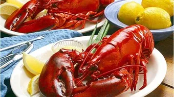 فوائد الاستاكوزا