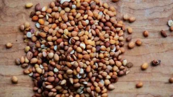 فوائد المحلب للشعر مع الحناء