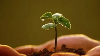 فوائد المداومة على العمل الصالح