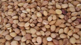 فوائد المحلب للشعر الخفيف