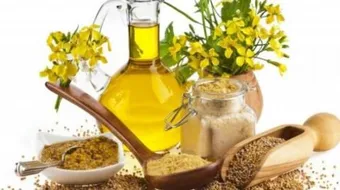 فوائد زيت الخردل للشيب