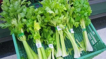 فوائد النباتات الطبيعية