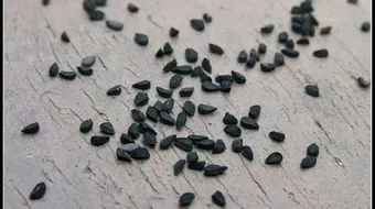 فوائد زيت حبة البركة للبشرة