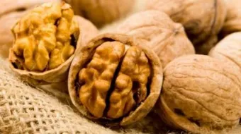 فوائد الجوز للأطفال