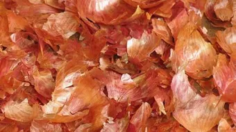 فوائد قشور البصل