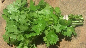 فوائد البقدونس للوجه