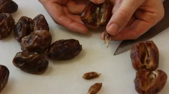 فوائد عجم التمر