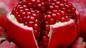 فوائد دبس الرمان للحامل