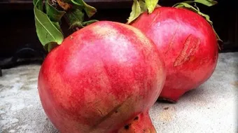 فوائد قشر الرمان للشعر