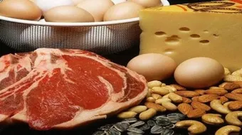 فوائد البروتين للعضلات