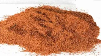 فوائد حب الرشاد للنفاس