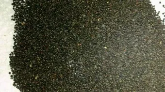 فوائد بذور الرجلة للتخسيس