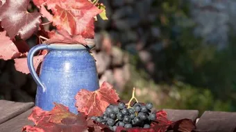 فوائد عصير العنب الأحمر