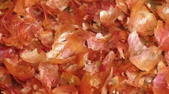 فوائد قشر البصل الأحمر