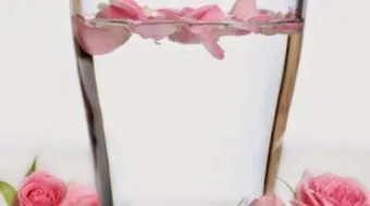 فوائد ماء الورد للشرب