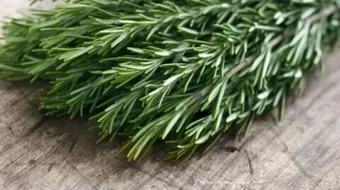 فوائد إكليل الجبل للتخسيس