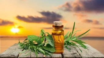 فوائد زيت إكليل الجبل للشعر