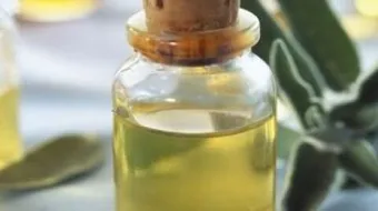 فوائد زيت الميرمية للصدر