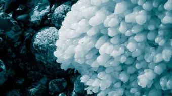 فوائد ملح البحر