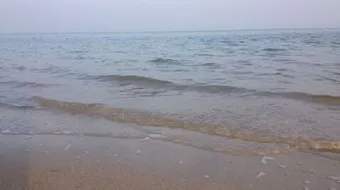 فوائد ماء البحر