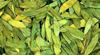 فوائد السنا مكي للتنحيف