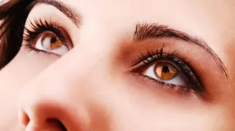 فوائد زبدة الشيا للهالات السوداء