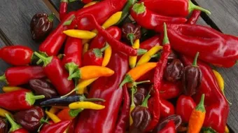 فوائد الأكل الحار