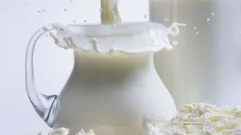 فوائد الحليب للمعدة