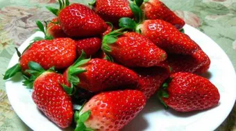 فوائد الفراولة للحامل والجنين