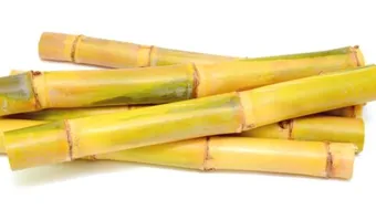 فوائد قصب السكر