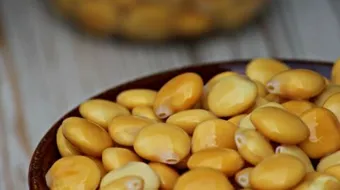 فوائد الترمس الحلو للشعر