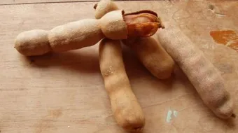 فوائد التمر الهندي للشعر