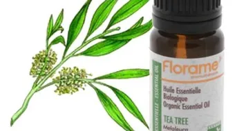 فوائد زيت شجرة الشاي للبشرة الدهنية