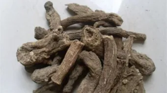 فوائد القسط الهندي الأسود