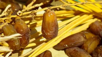 فوائد نواة التمر