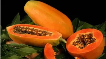 فوائد ثمرة الباباظ