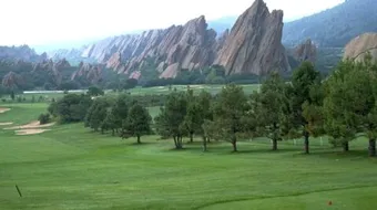 فوائد الشجر للإنسان