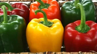 فوائد الفلفل الرومي مع الزيت للشعر