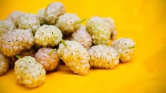 فوائد التوت الأبيض