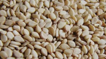 فوائد بذور القرع الأبيض