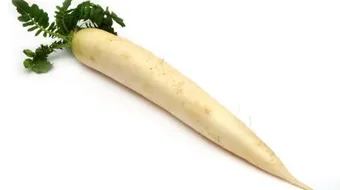 فوائد أوراق الفجل الأبيض