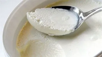 فوائد الزبادي مع الثوم