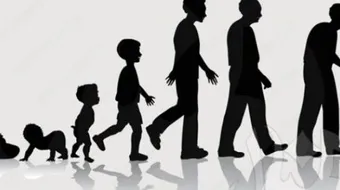 مراحل النمو البيولوجية عند علماء النفس