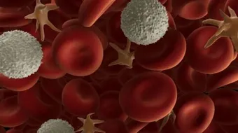 بكتيريا الدم عند المواليد